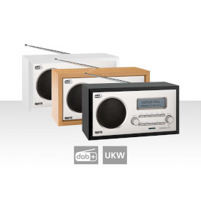 22-136-00 Dabman 30 zwart dab+ / fm