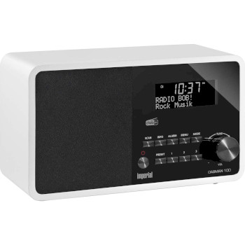 22-222-00 Dabman 100 dab+ / fm-radio wit